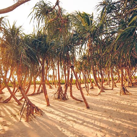 ババ ビーチ クラブ ナタイ ラグジュアリー プール ヴィラ ホテル バイ スリ パンワ【SHA Plus+認定】 Natai Beach エクステリア 写真